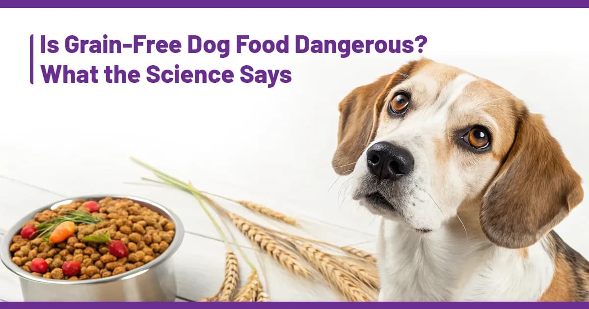 Is Grain-Free Dog Food Dangerous? What the Science Says