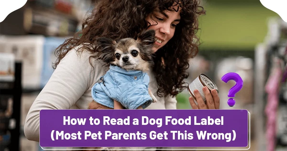How to Read a Dog Food Label (Most Owners Get This Wrong)