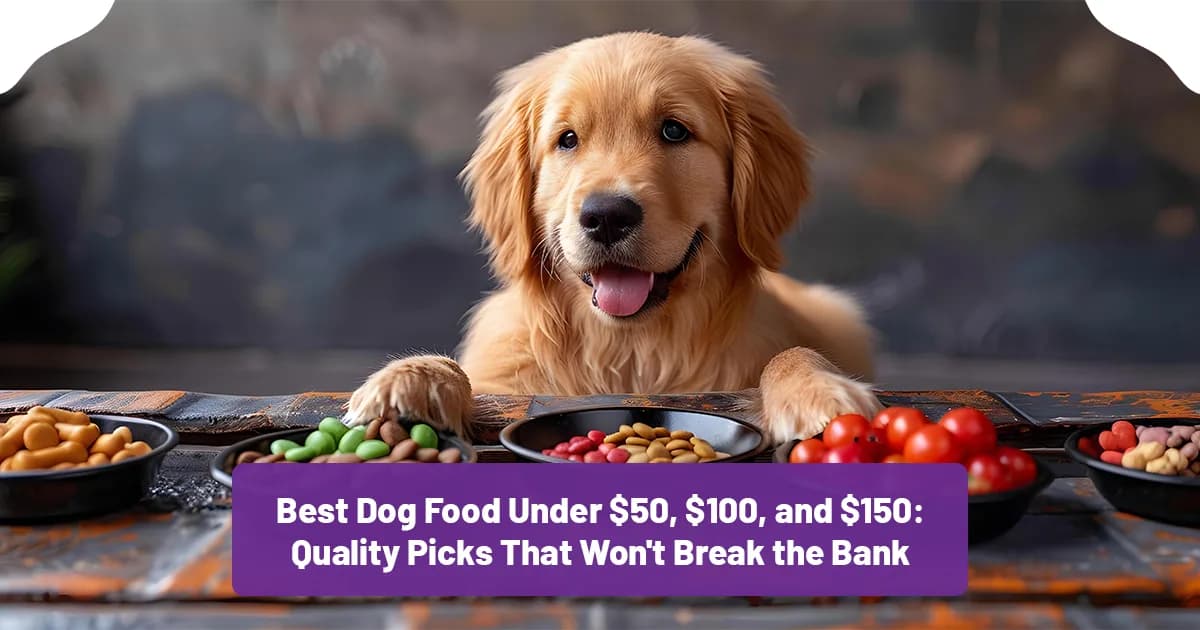 Best Dog Food Under $50, $100, and $150: Quality Picks for Every Budget (2026)