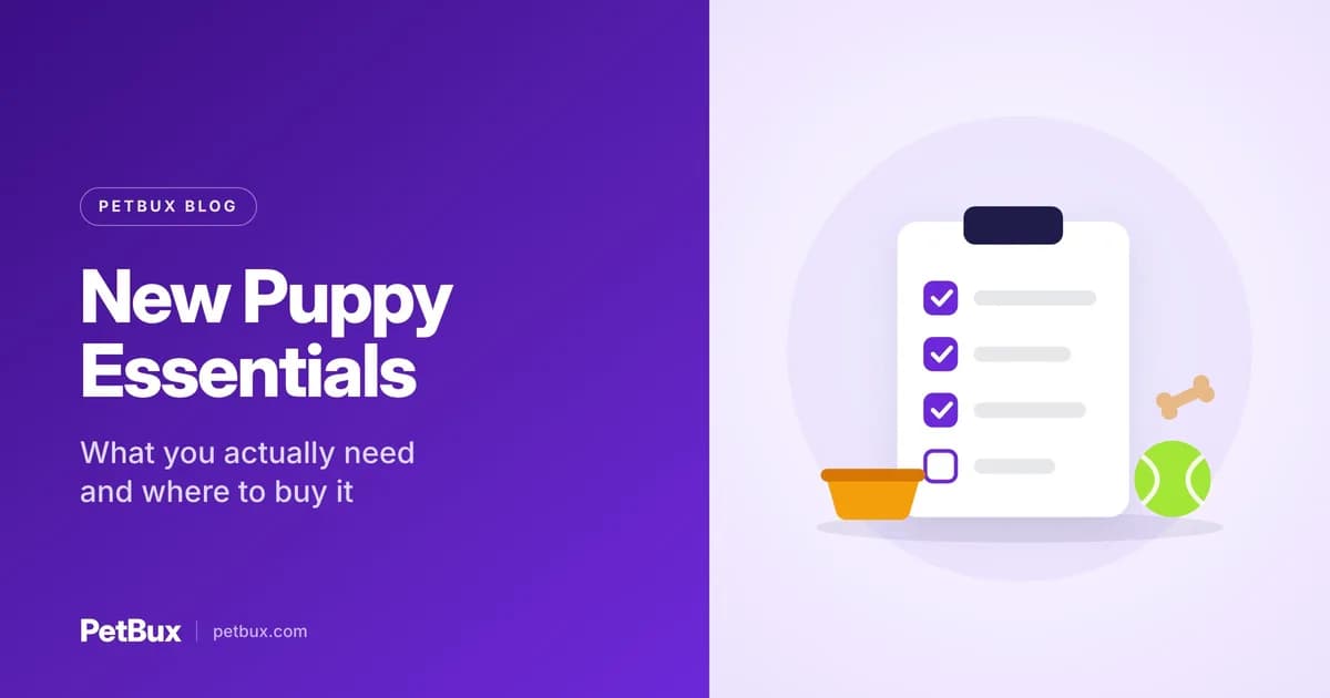 New Puppy Essentials: A Shopping List That Avoids Waste
