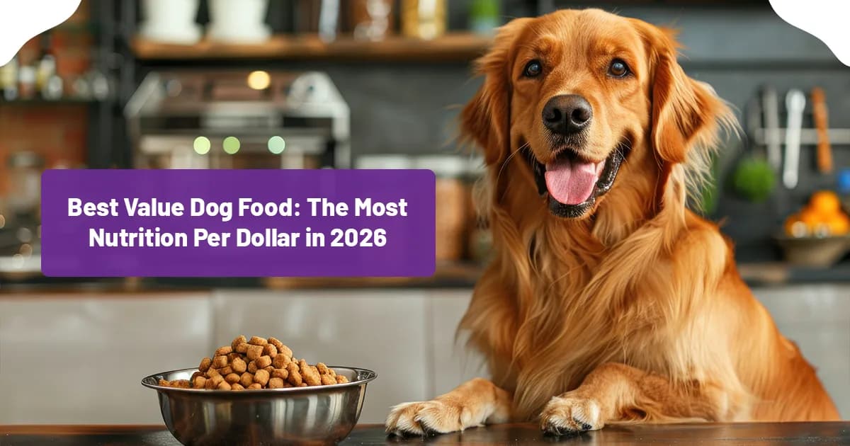 Best Value Dog Food: The Most Nutrition Per Dollar in 2026