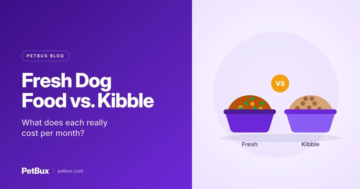 Fresh Dog Food vs. Kibble: What Does Each Cost per Month?