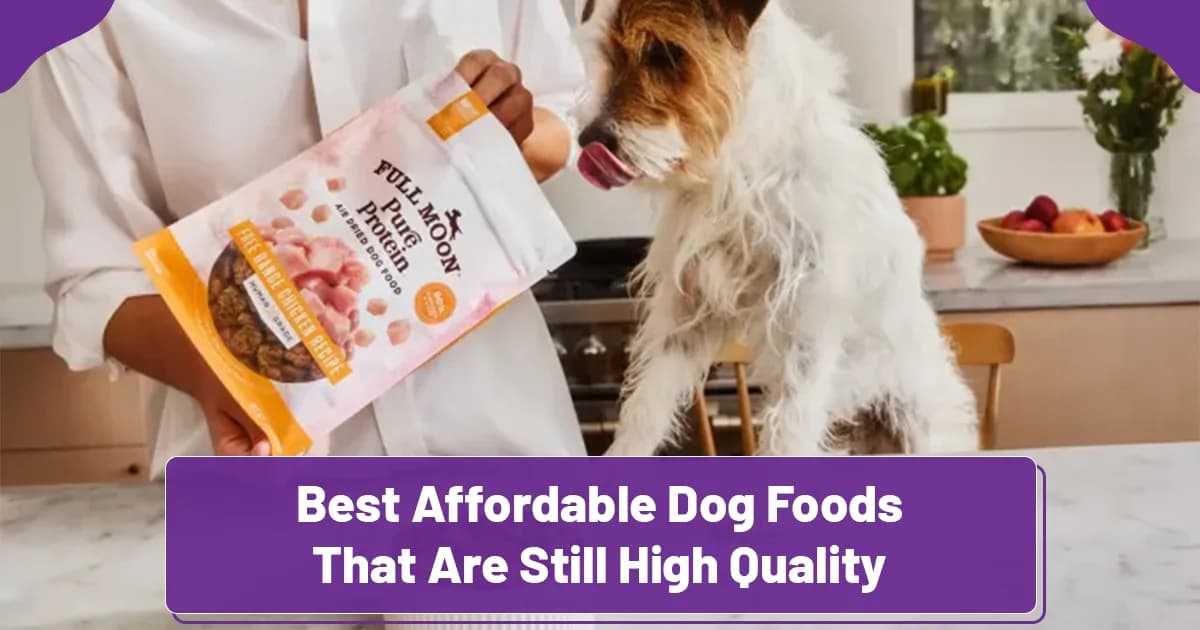 Best Affordable Dog Foods That Are Still High Quality