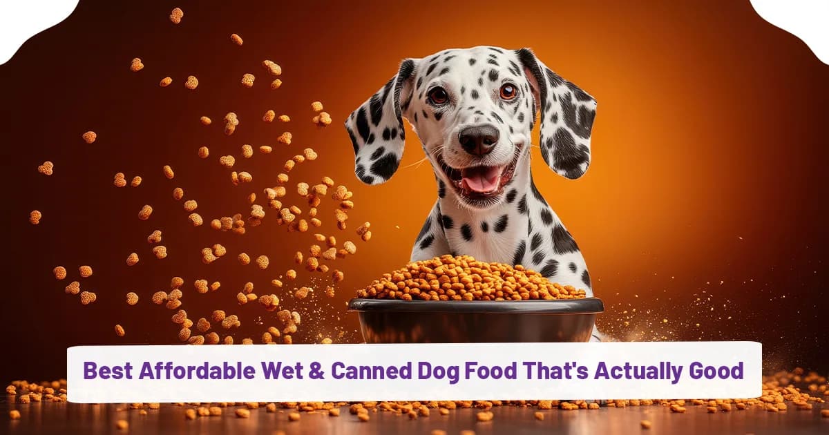 Best Affordable Wet & Canned Dog Food That's Actually Good