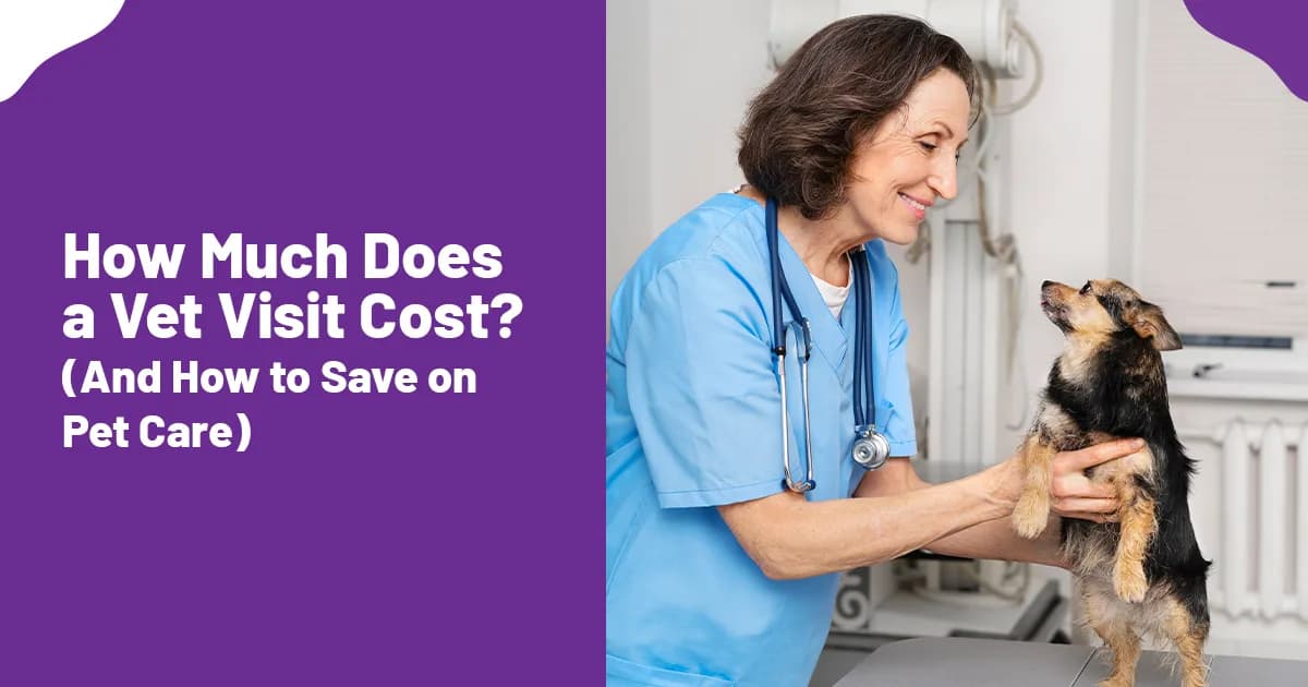 How Much Do Vet Visits Cost in 2026? Full Price Breakdown for Dog & Cat Owners