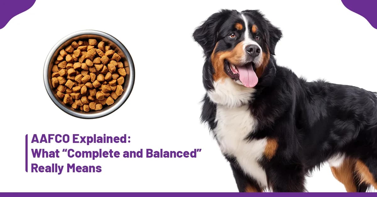 AAFCO Explained: What “Complete and Balanced” Really Means