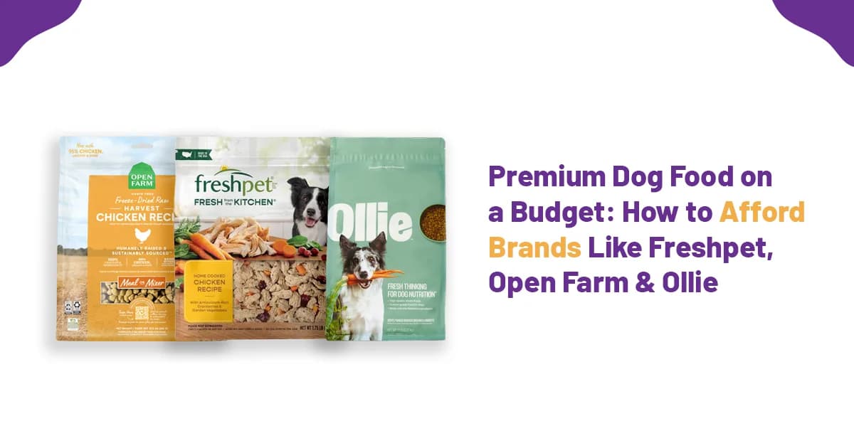 Premium Dog Food on a Budget: How to Afford Brands Like Freshpet, Open Farm, A Pup Above & Golden Child