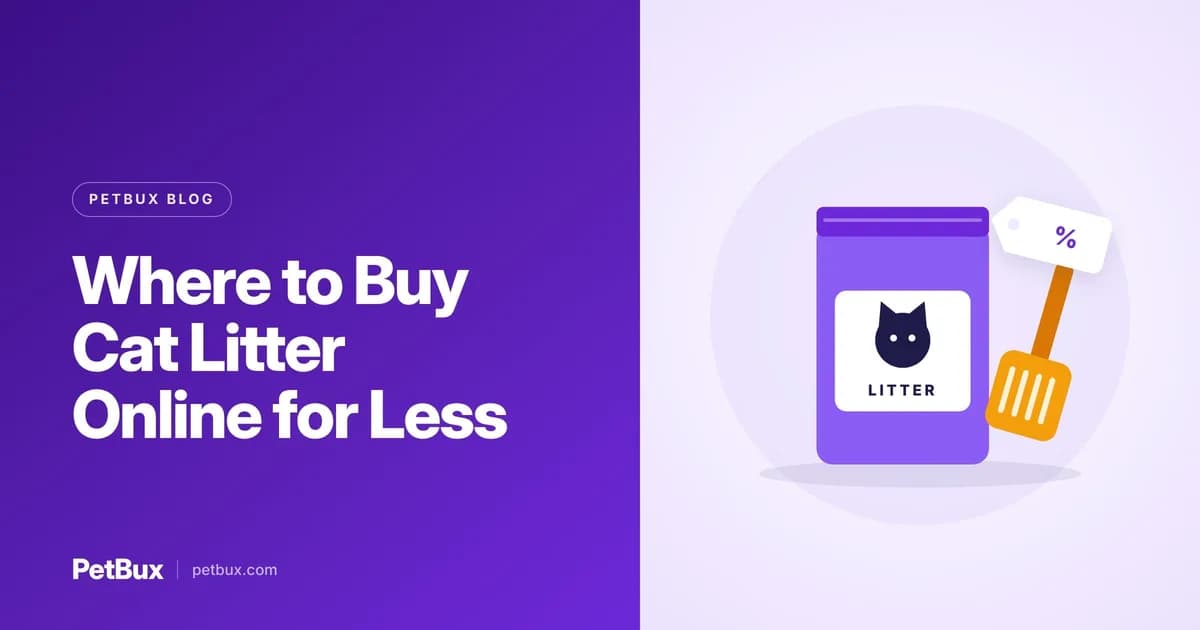 Best Places to Buy Cat Litter Online: Cost Comparison Checklist