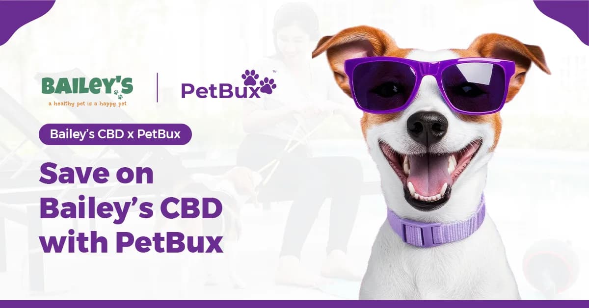 When Pet CBD Makes Sense for Dogs and How Pet Parents Can Save on Trusted Brands