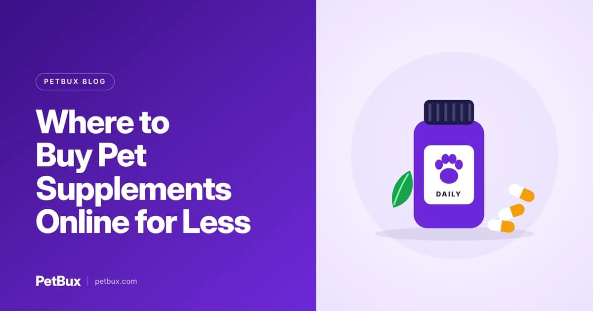 Where to Buy Pet Supplements Online: A Smarter Shopping Checklist