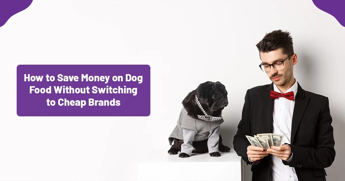 How to Save Money on Dog Food Without Switching to Cheap Brands