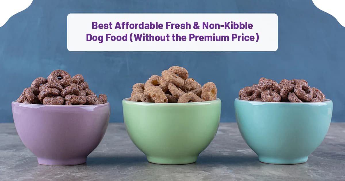 Best Affordable Fresh & Non-Kibble Dog Food (Without the Premium Price)